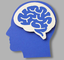 brain clipart